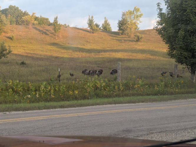 1758118603377.png 1758118603377.png