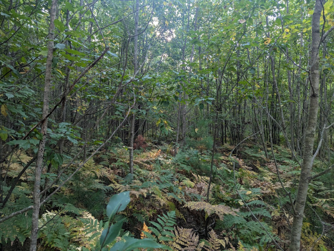 1758118803269.png 1758118803269.png