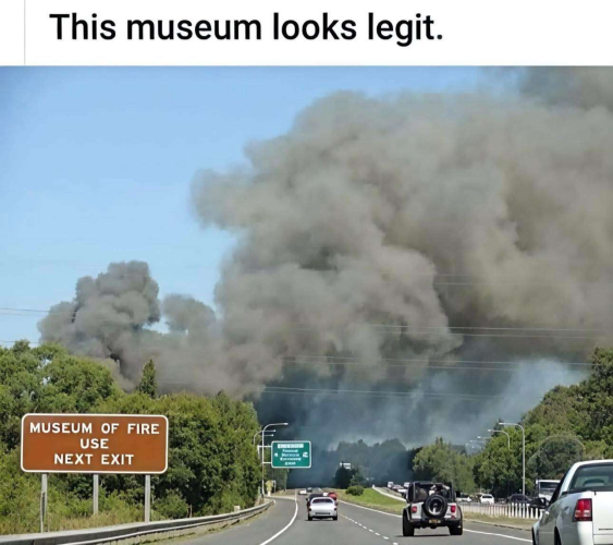 1758122869440.png
