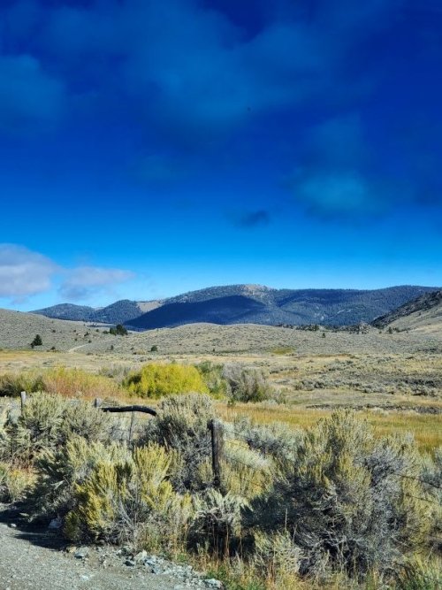 Pioneers high desert.jpg