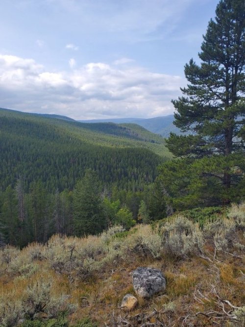 Heart of Pioneer Mtns.jpg