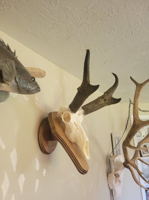 20221004_102012.jpg 20221004_102012.jpg