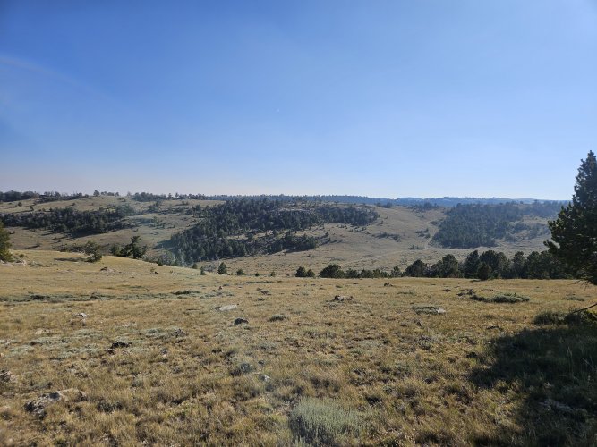 20250905_165947.jpg