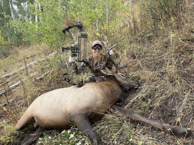 IMG_8736.jpeg IMG_8736.jpeg