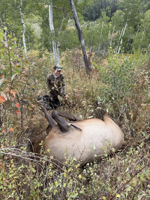 IMG_8690.JPG IMG_8690.JPG