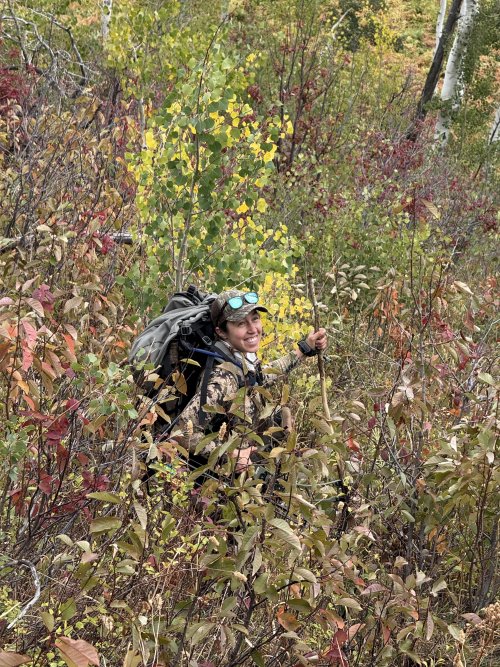 IMG_8686.JPG IMG_8686.JPG