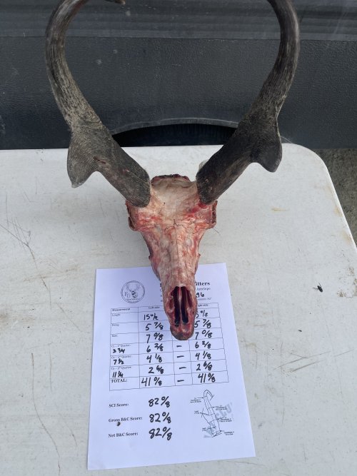 IMG_5062.jpeg IMG_5062.jpeg