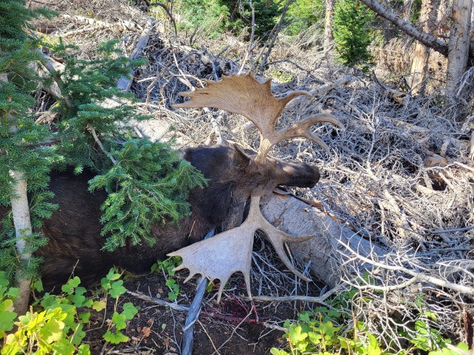 20250914_111838.jpg 20250914_111838.jpg