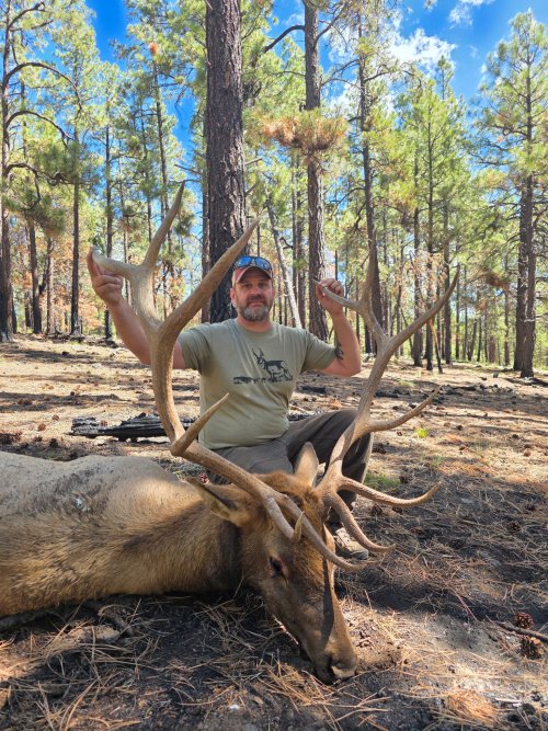 1829029342167638349.jpeg 1829029342167638349.jpeg