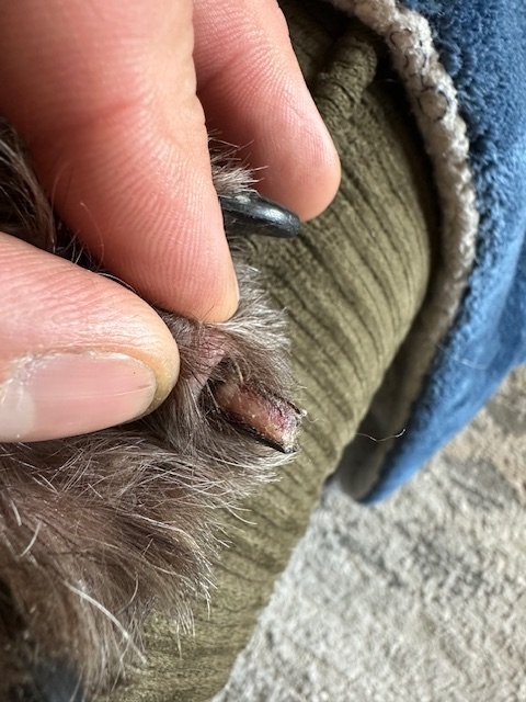 IMG_8365.jpg IMG_8365.jpg