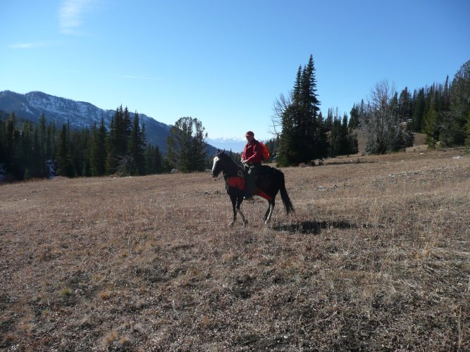 P1000529.jpeg P1000529.jpeg