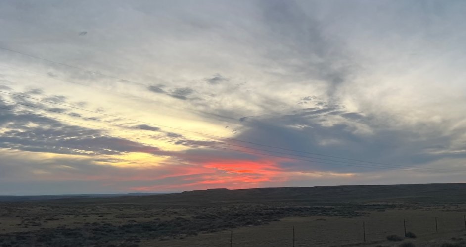 IMG_2688.jpeg IMG_2688.jpeg