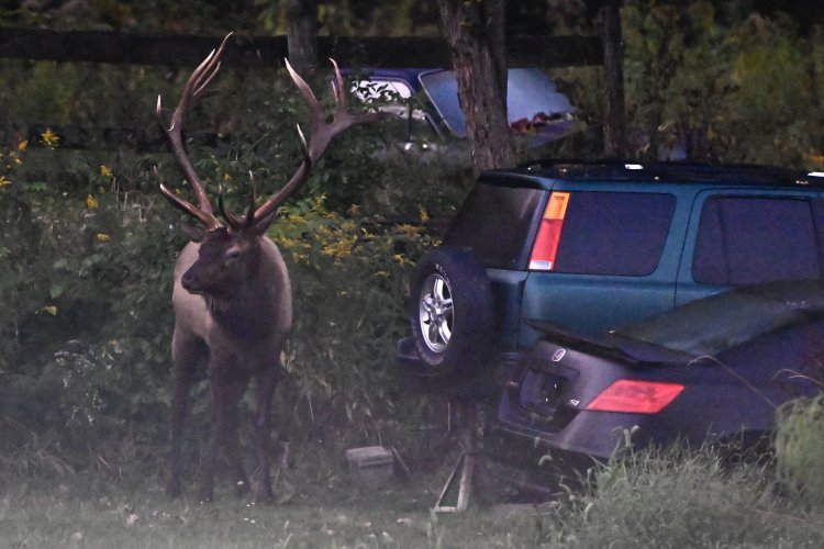 _DSC6379.jpeg _DSC6379.jpeg