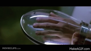 1000003735.gif 1000003735.gif