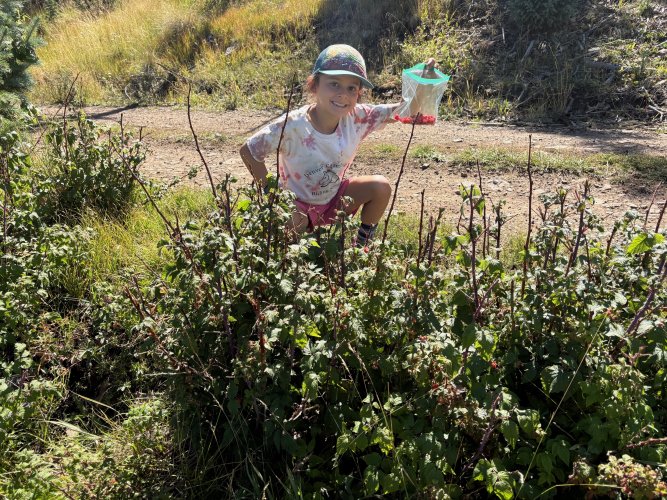 IMG_5804.jpg IMG_5804.jpg