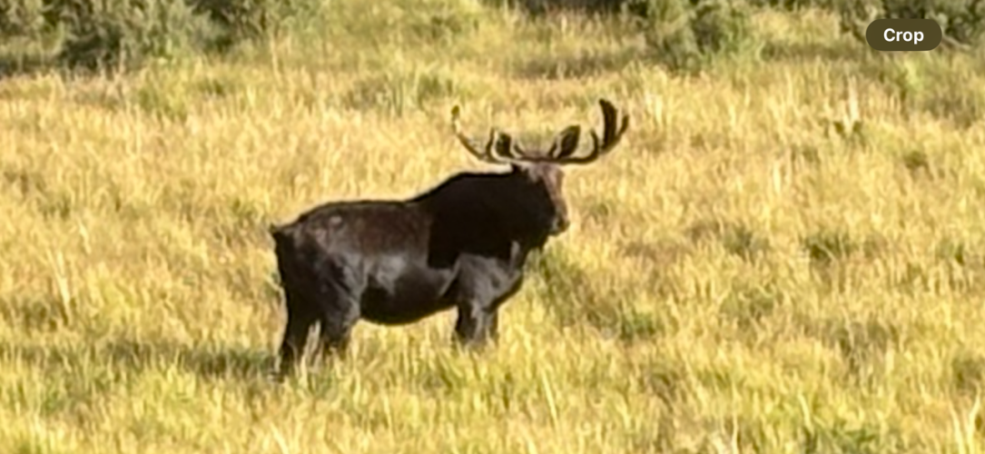 IMG_5778.PNG IMG_5778.PNG