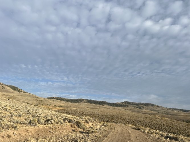 IMG_2691.jpeg IMG_2691.jpeg