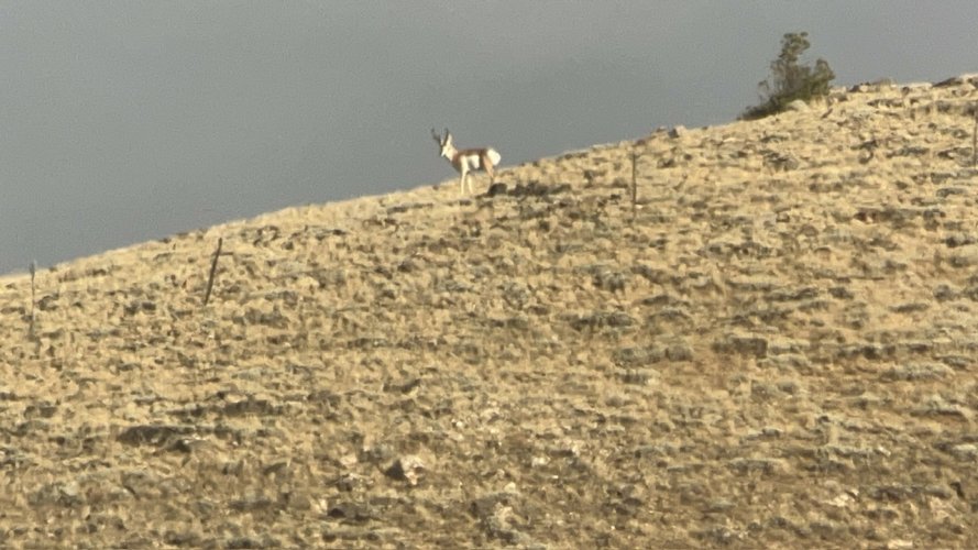 IMG_2694.jpeg IMG_2694.jpeg