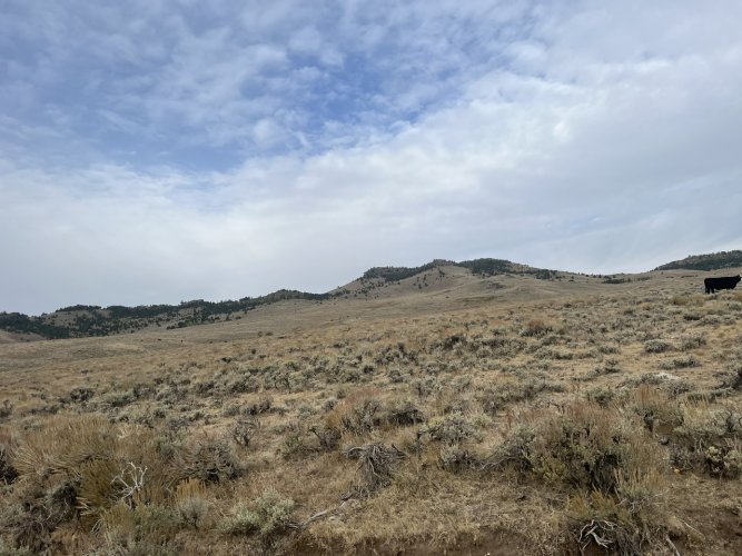 IMG_2704.jpeg IMG_2704.jpeg