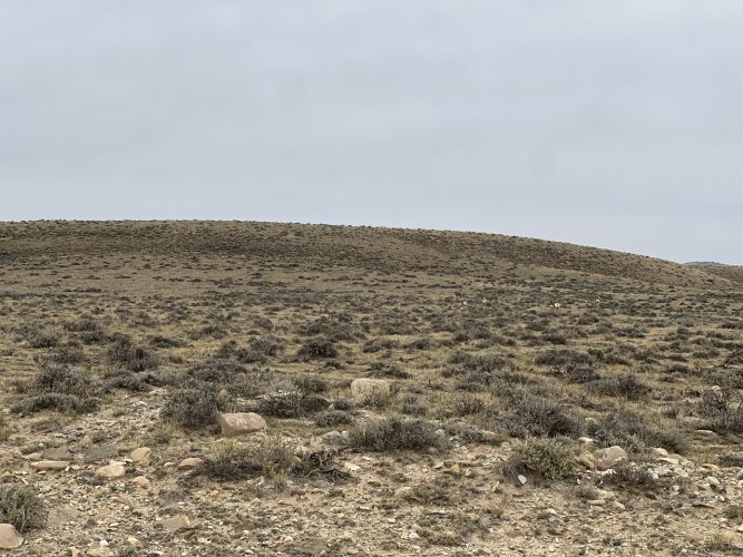 IMG_2707.jpeg IMG_2707.jpeg