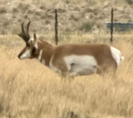 IMG_2713.jpeg IMG_2713.jpeg