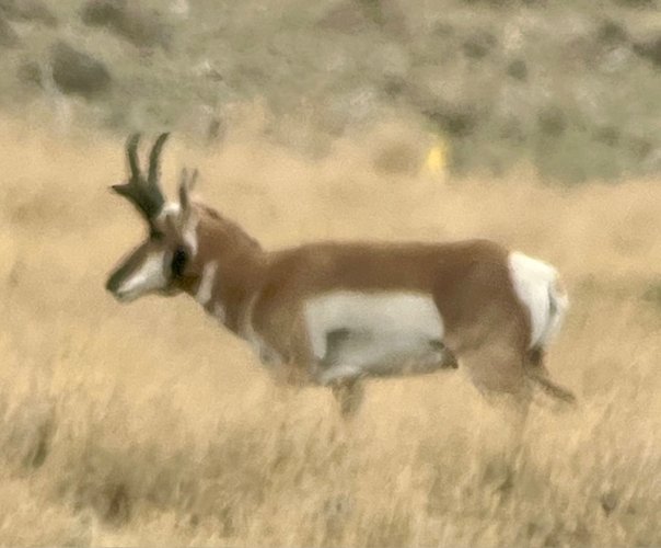 IMG_2711.jpeg IMG_2711.jpeg