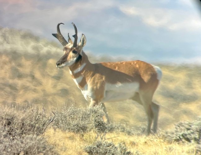 IMG_2715.jpeg IMG_2715.jpeg