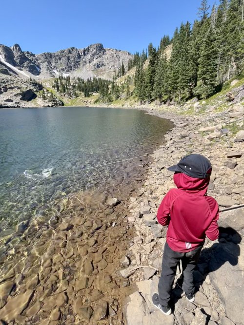 IMG_2223.jpeg IMG_2223.jpeg