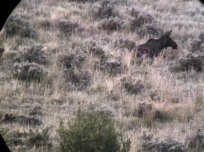 IMG_5833.jpg IMG_5833.jpg