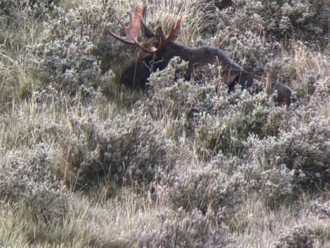 IMG_5835.jpg IMG_5835.jpg