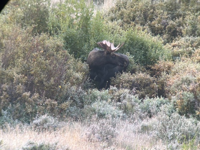 IMG_5875.jpg IMG_5875.jpg