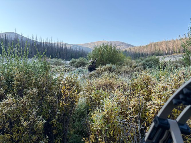 IMG_5891.jpg IMG_5891.jpg