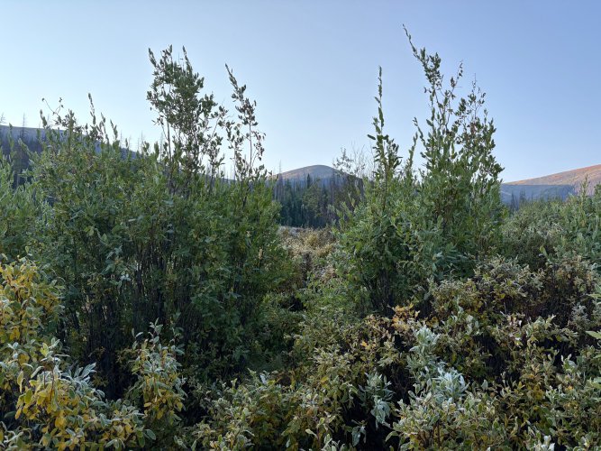 IMG_5888.jpg IMG_5888.jpg