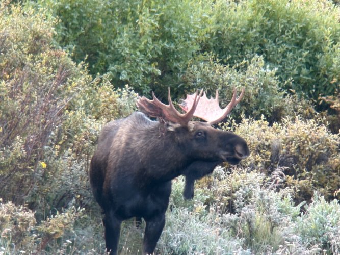 IMG_5885.jpg IMG_5885.jpg