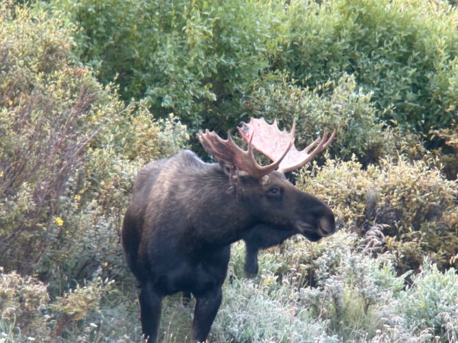 IMG_5884.jpg IMG_5884.jpg