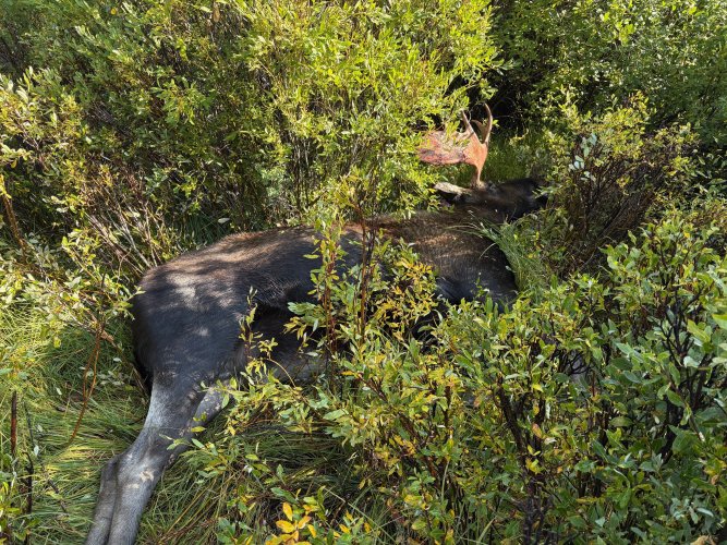 IMG_5896.jpg IMG_5896.jpg