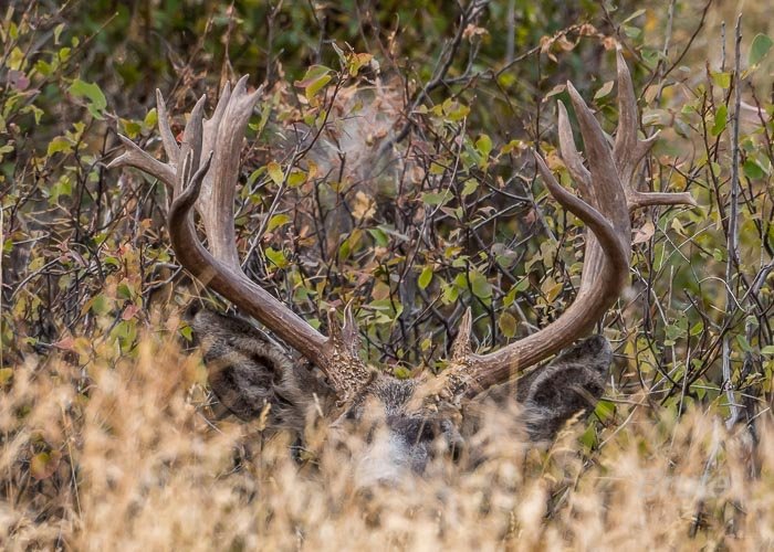 September 2025 a-5534.jpg