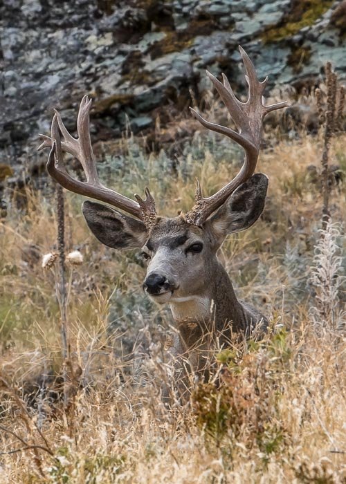 September 2025 a-5483.jpg