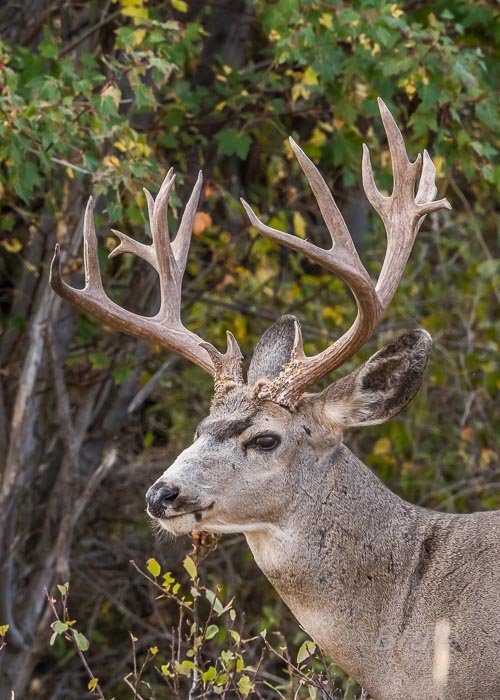 September 2025 a-5558.jpg