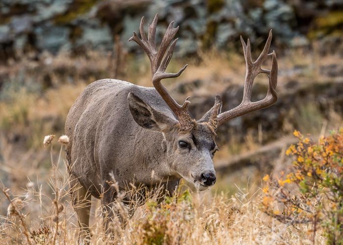 September 2025 a-5585.jpg