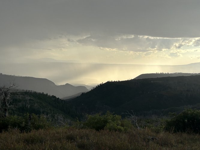 IMG_1806.jpeg IMG_1806.jpeg