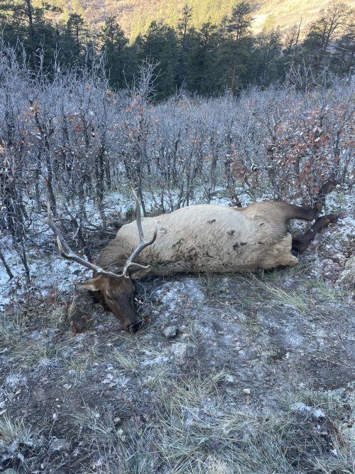 IMG_8940.jpeg IMG_8940.jpeg