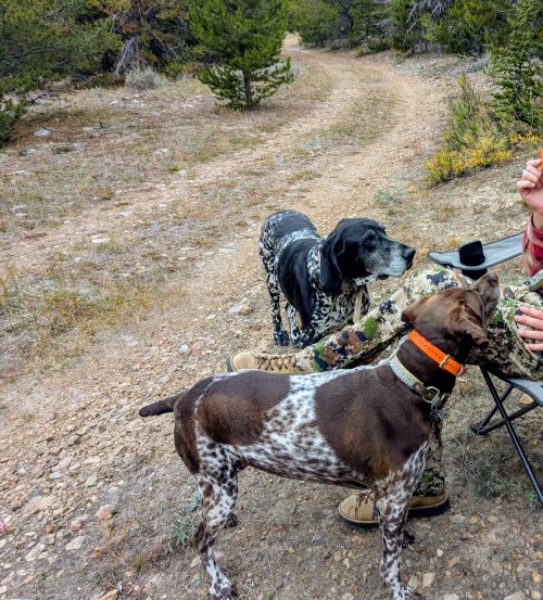 PXL_20250921_185458208.MP~2.jpg PXL_20250921_185458208.MP~2.jpg