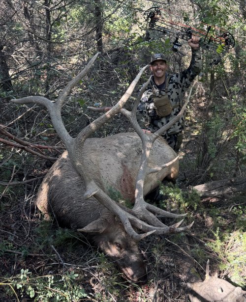 IMG_4734.jpeg IMG_4734.jpeg