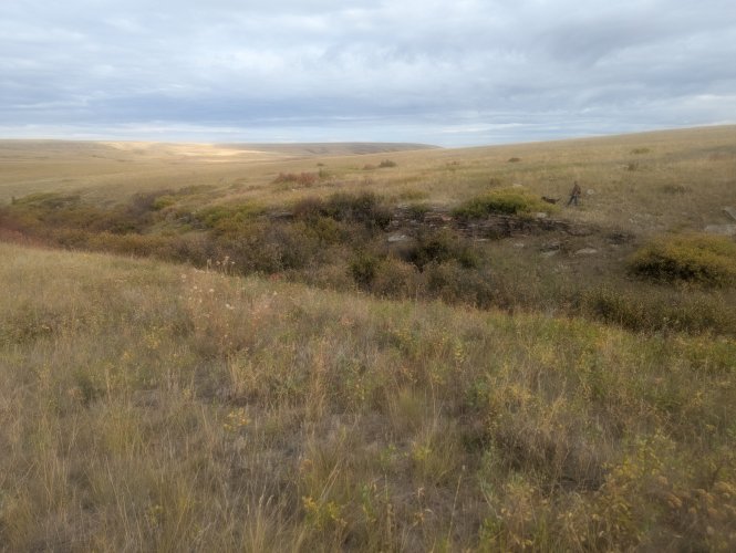 PXL_20250922_165255448.MP.jpg PXL_20250922_165255448.MP.jpg