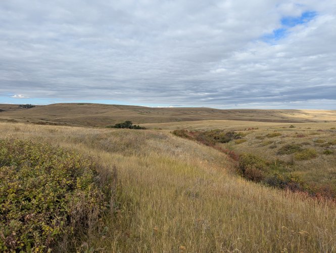 PXL_20250922_164933645.MP.jpg PXL_20250922_164933645.MP.jpg