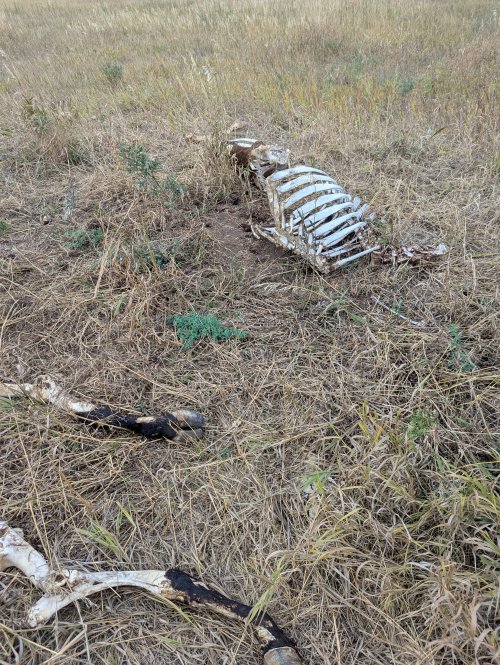 PXL_20250922_153838779.MP.jpg PXL_20250922_153838779.MP.jpg