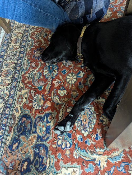 PXL_20250922_185932074.MP.jpg PXL_20250922_185932074.MP.jpg