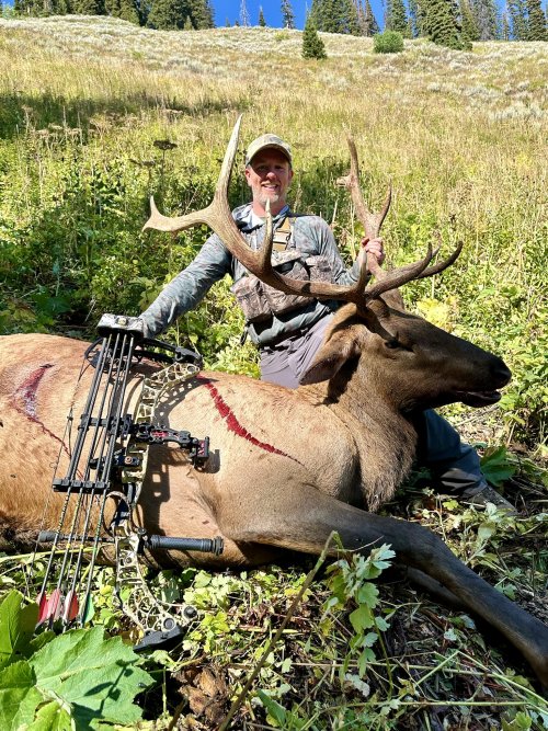 IMG_0013.jpeg IMG_0013.jpeg