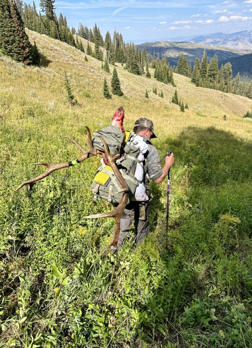 IMG_1784.jpeg IMG_1784.jpeg